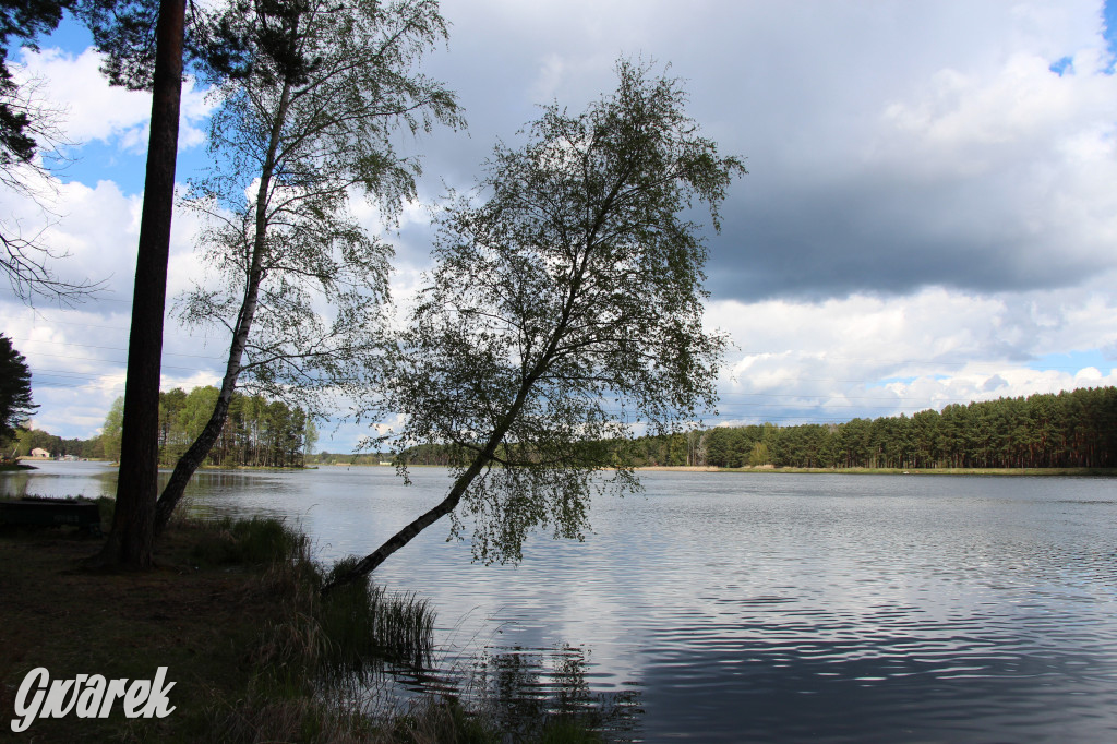 Zielona. Miejsce na spacer i wypad na rowerze