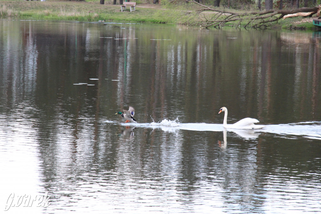 Zielona. Miejsce na spacer i wypad na rowerze