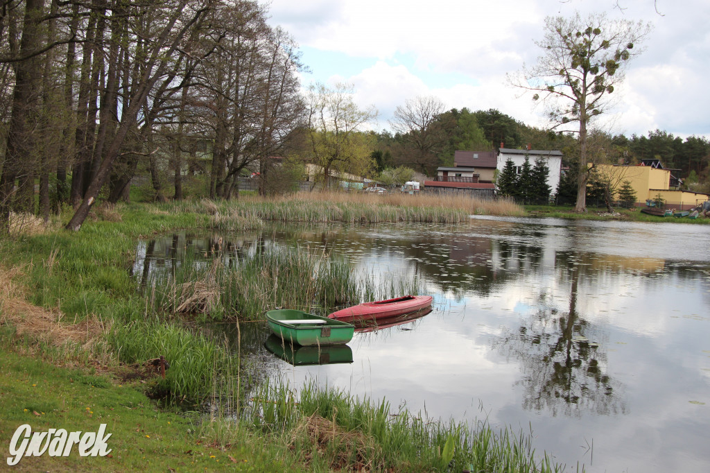 Zielona. Miejsce na spacer i wypad na rowerze