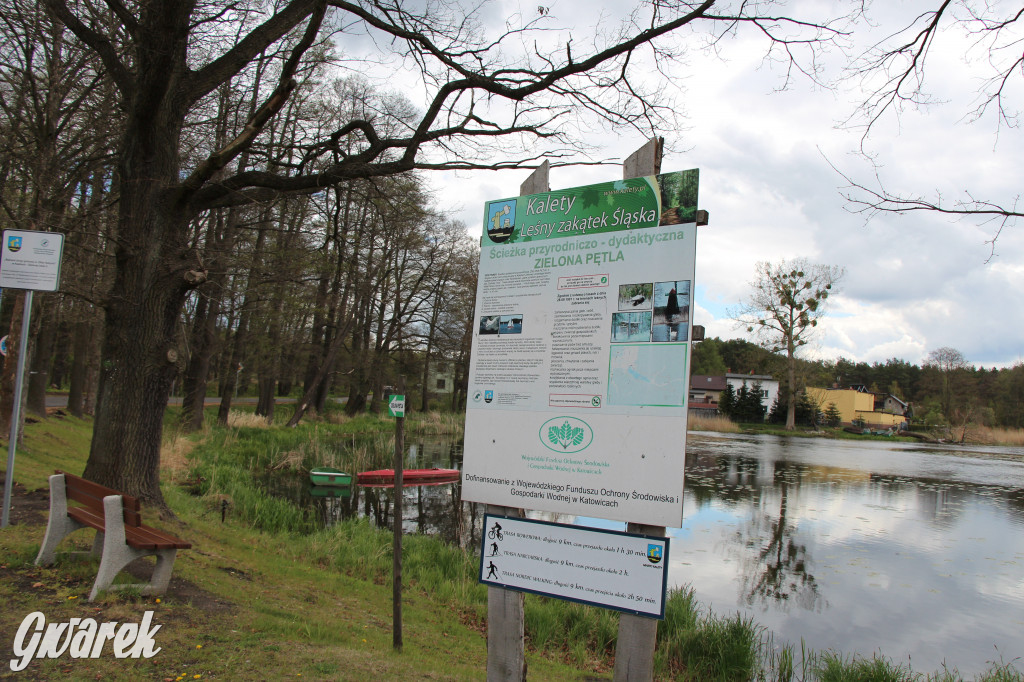 Zielona. Miejsce na spacer i wypad na rowerze