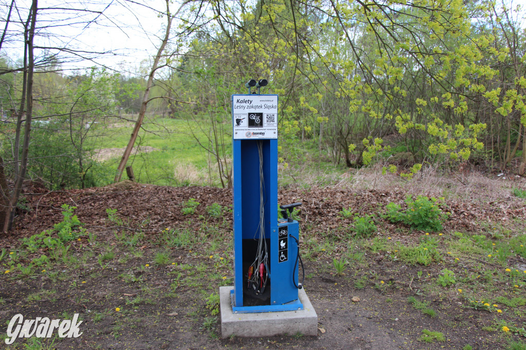 Zielona. Miejsce na spacer i wypad na rowerze