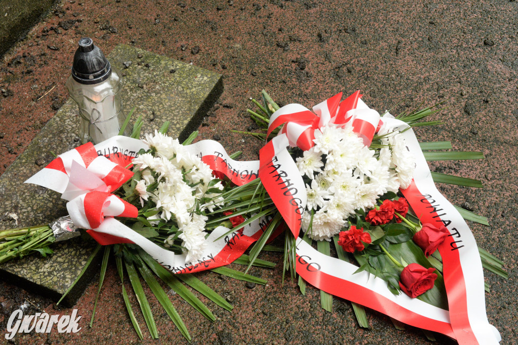 Święto Narodowe Trzeciego Maja w maseczkach