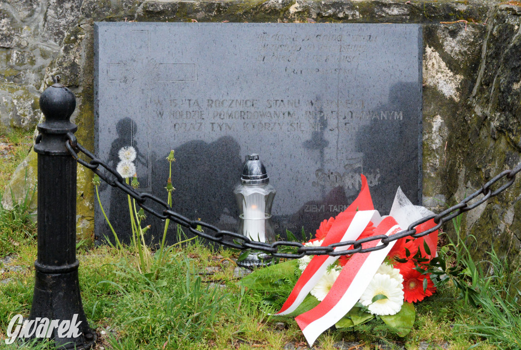 Święto Narodowe Trzeciego Maja w maseczkach