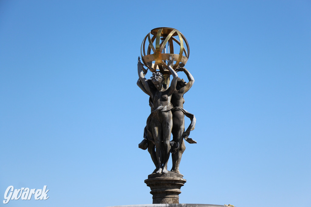 Czaple siwe polubiły park w Świerklańcu