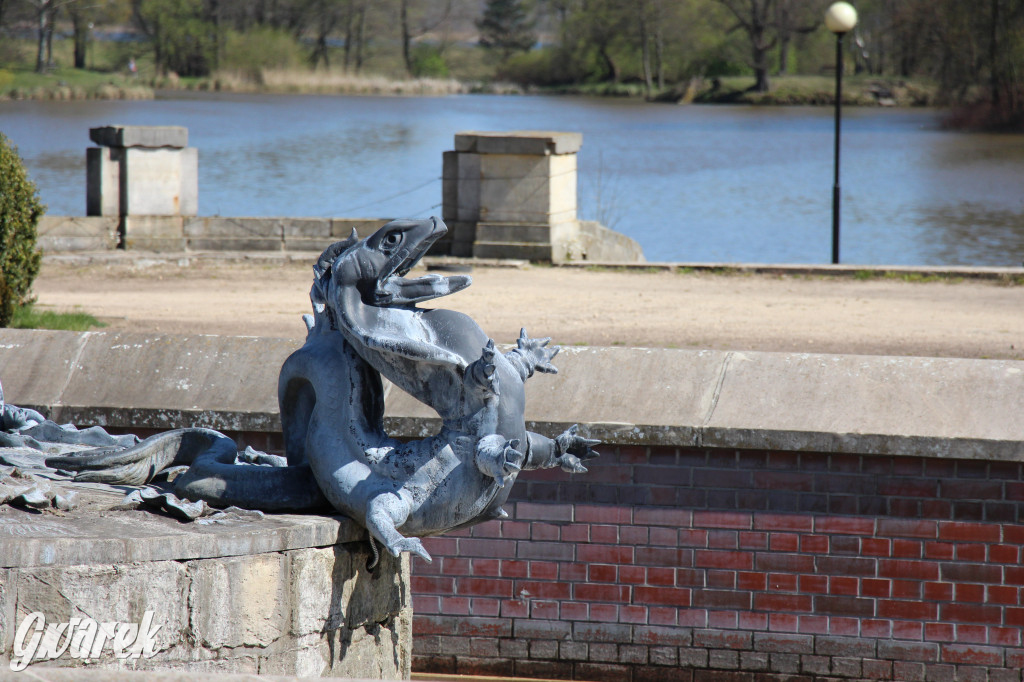 Czaple siwe polubiły park w Świerklańcu