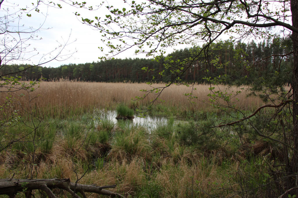 Dokąd na weekendowy wypad? Blisko i ciekawie