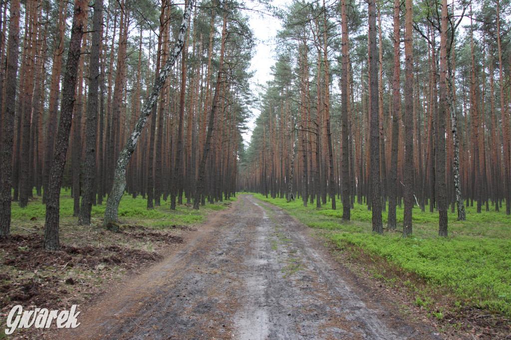 Dokąd na weekendowy wypad? Blisko i ciekawie