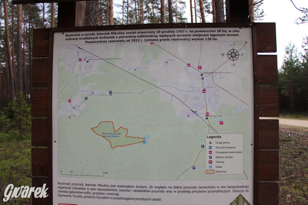 Dokąd na weekendowy wypad? Blisko i ciekawie