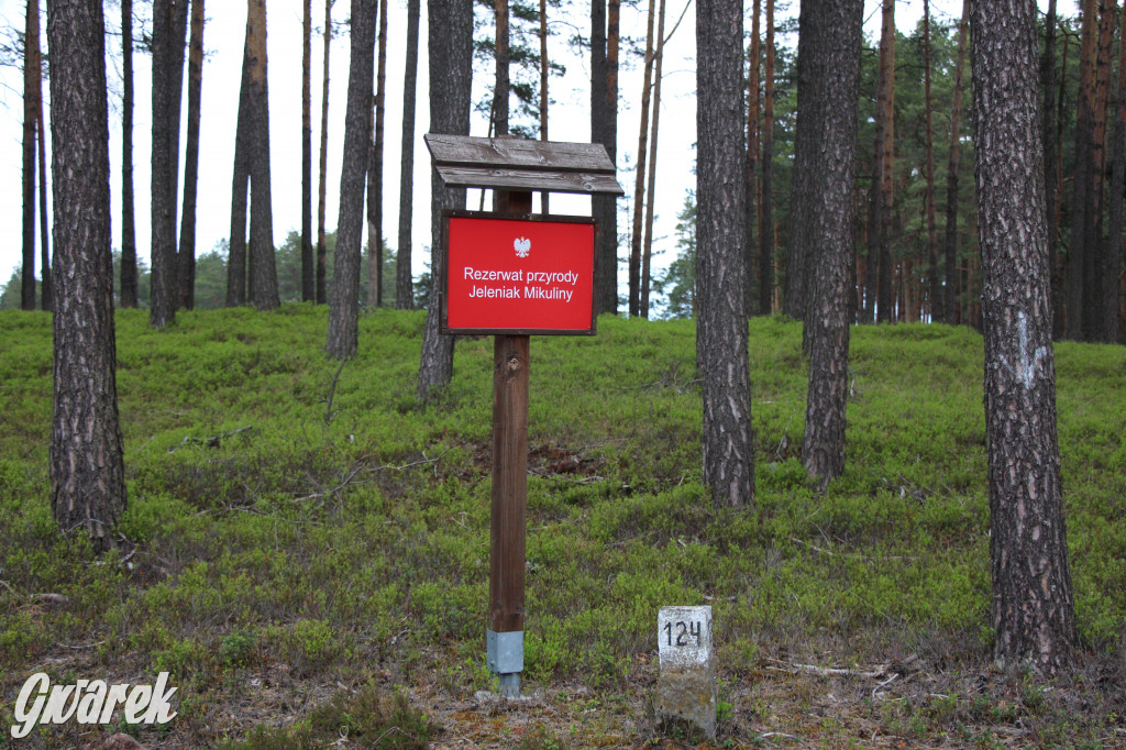 Dokąd na weekendowy wypad? Blisko i ciekawie