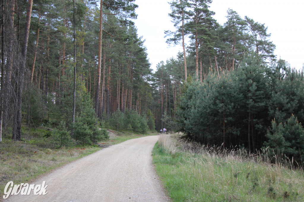 Dokąd na weekendowy wypad? Blisko i ciekawie