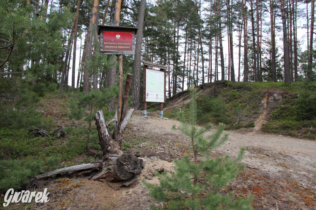 Dokąd na weekendowy wypad? Blisko i ciekawie