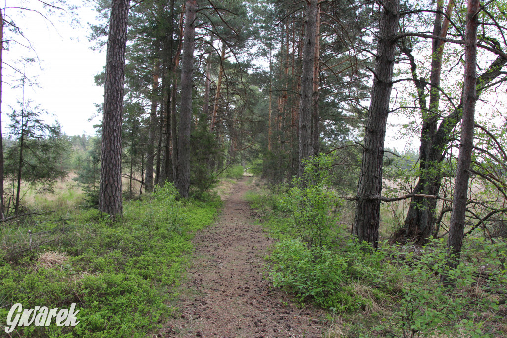 Dokąd na weekendowy wypad? Blisko i ciekawie