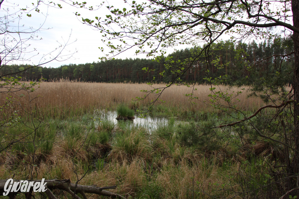 Dokąd na weekendowy wypad? Blisko i ciekawie