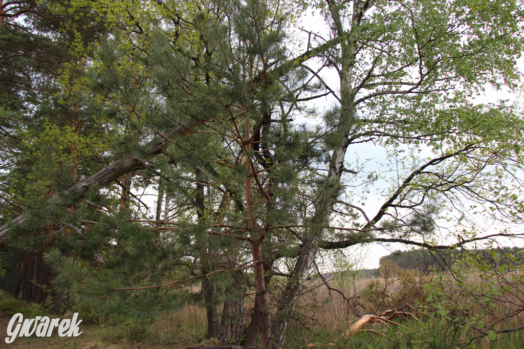 Dokąd na weekendowy wypad? Blisko i ciekawie