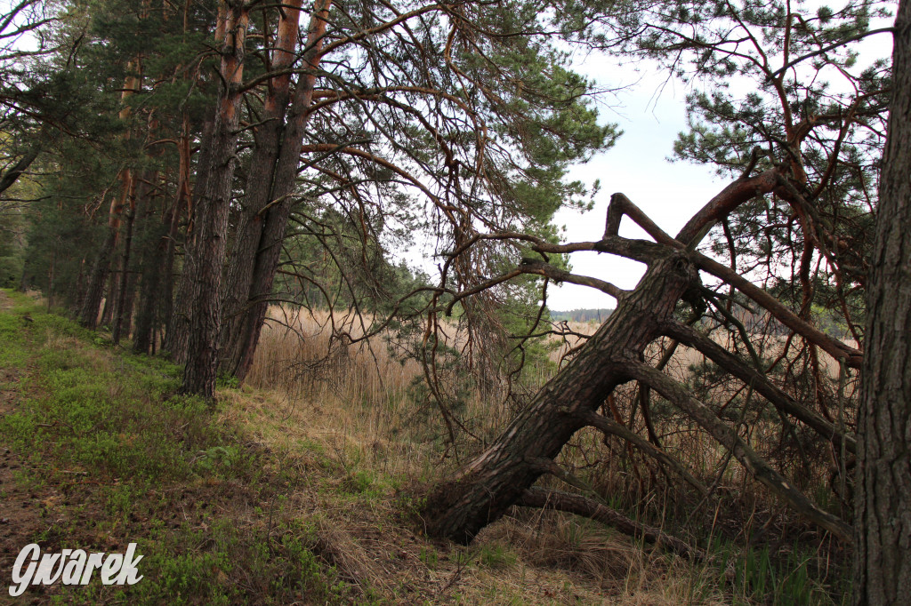 Dokąd na weekendowy wypad? Blisko i ciekawie