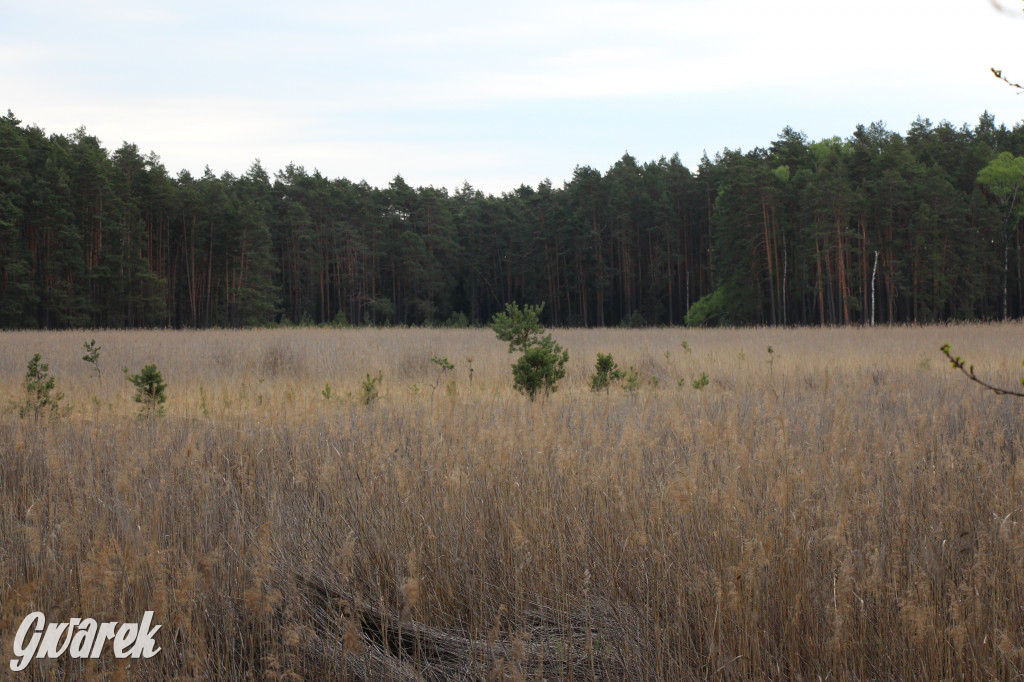Dokąd na weekendowy wypad? Blisko i ciekawie