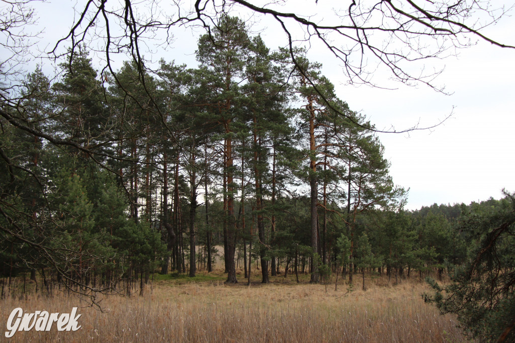 Dokąd na weekendowy wypad? Blisko i ciekawie