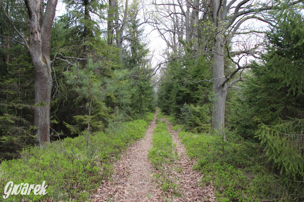 Dokąd na weekendowy wypad? Blisko i ciekawie