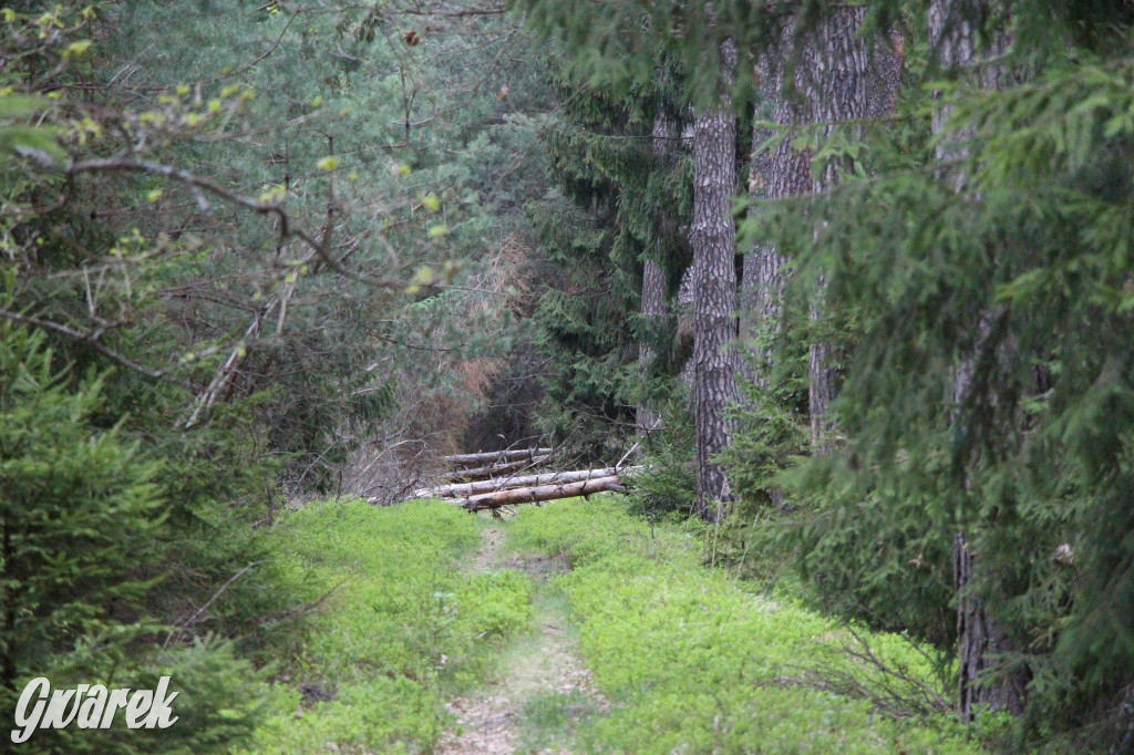 Dokąd na weekendowy wypad? Blisko i ciekawie