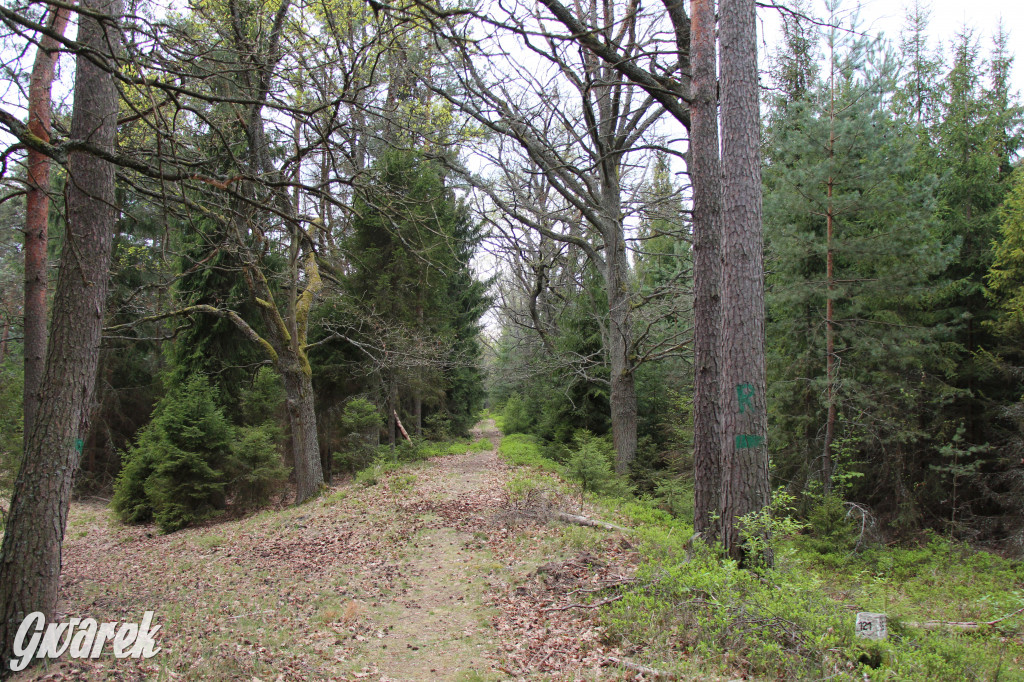 Dokąd na weekendowy wypad? Blisko i ciekawie