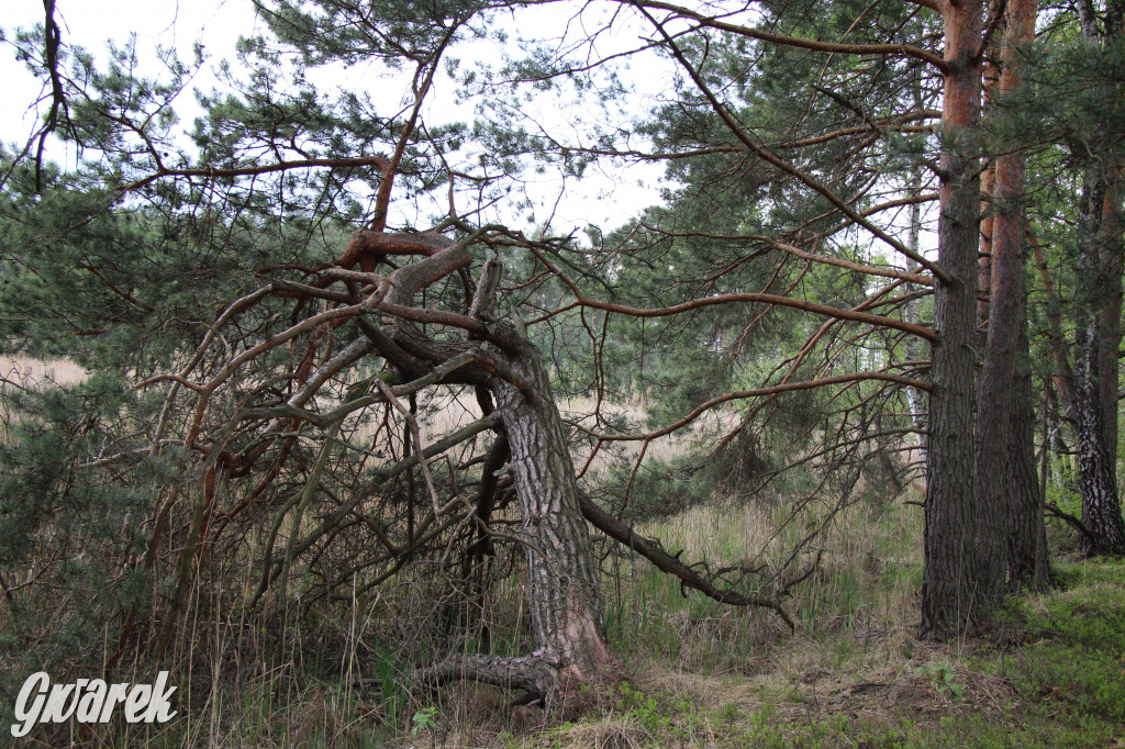 Dokąd na weekendowy wypad? Blisko i ciekawie