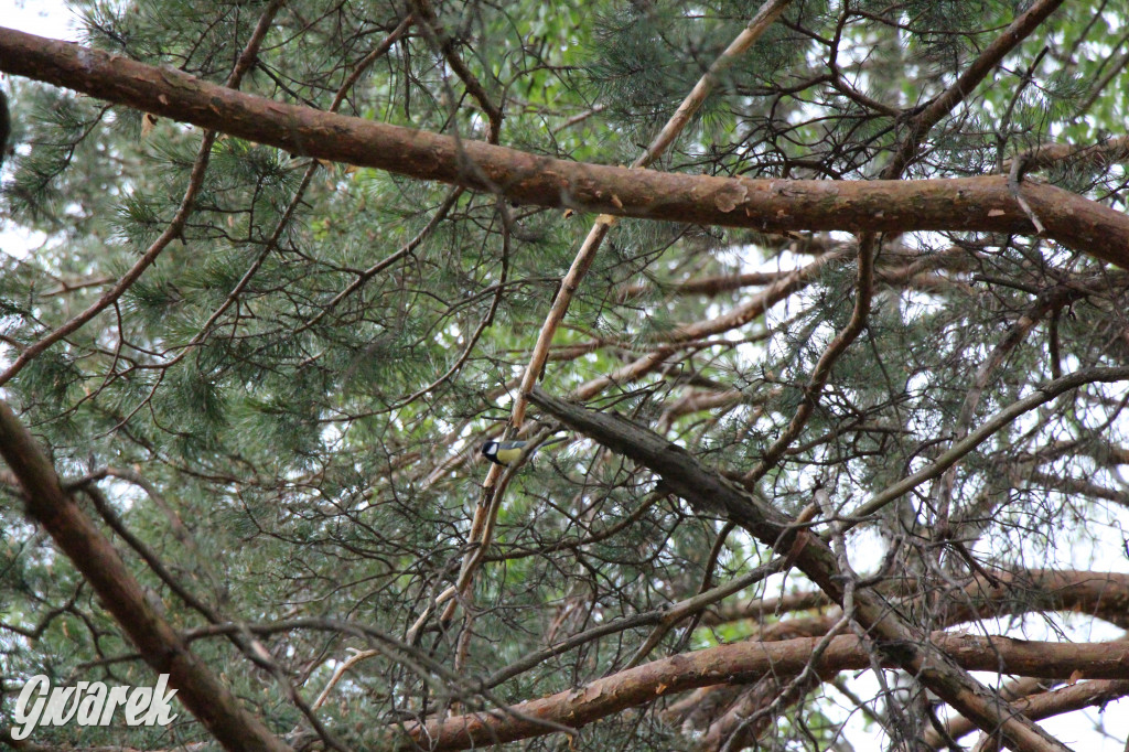 Dokąd na weekendowy wypad? Blisko i ciekawie