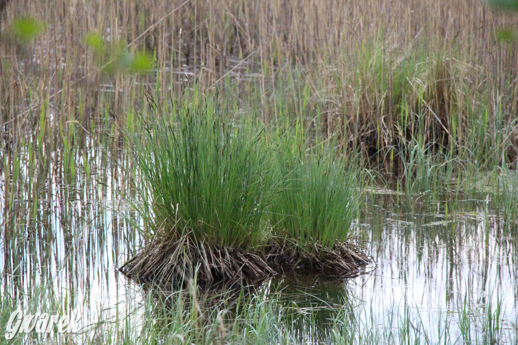 Dokąd na weekendowy wypad? Blisko i ciekawie