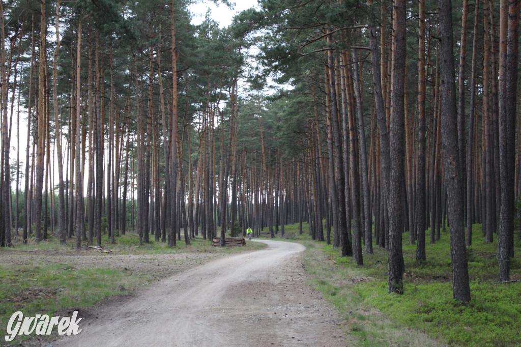 Dokąd na weekendowy wypad? Blisko i ciekawie