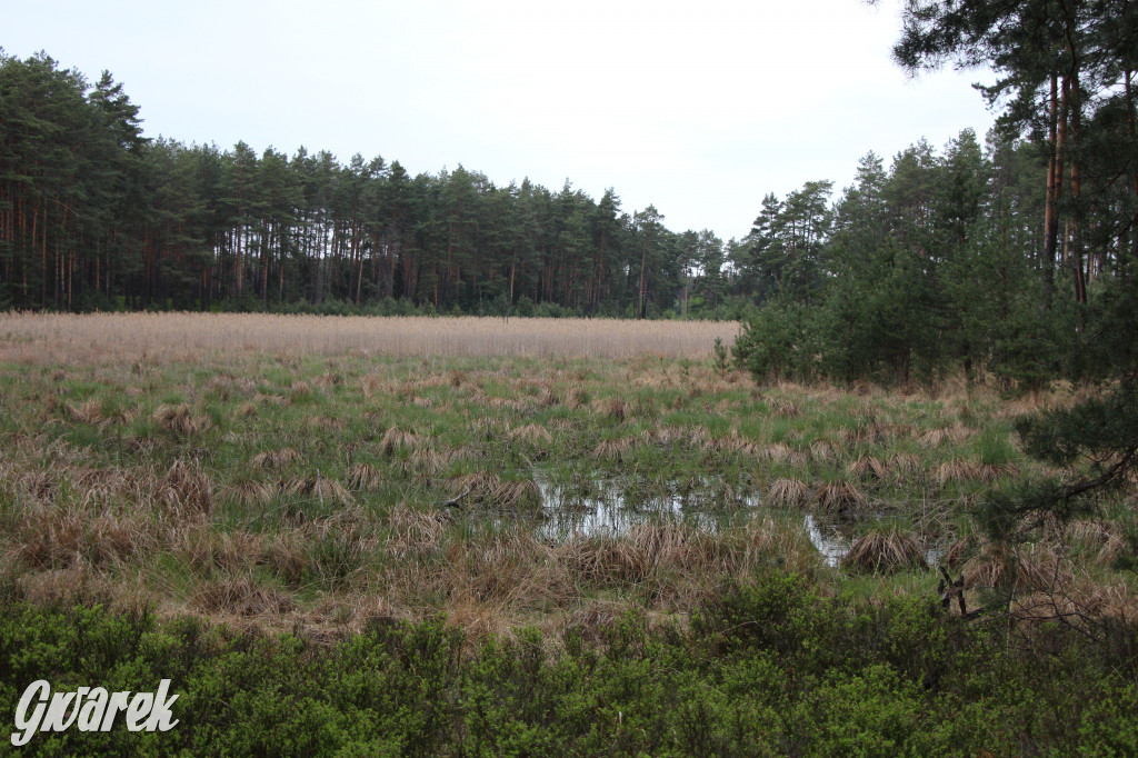 Dokąd na weekendowy wypad? Blisko i ciekawie