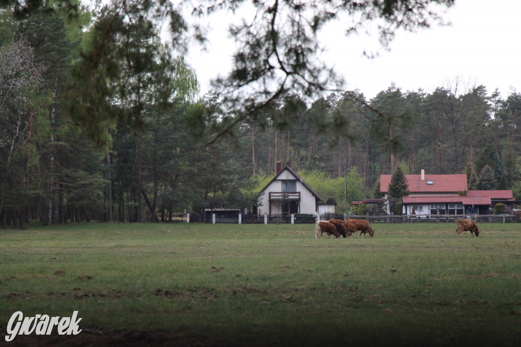 Dokąd na weekendowy wypad? Blisko i ciekawie