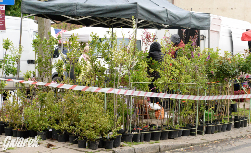 Targ w reżimie koronawirusa