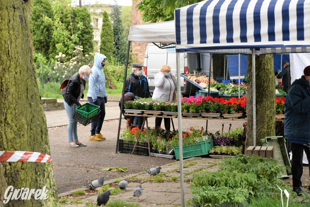 Targ w reżimie koronawirusa