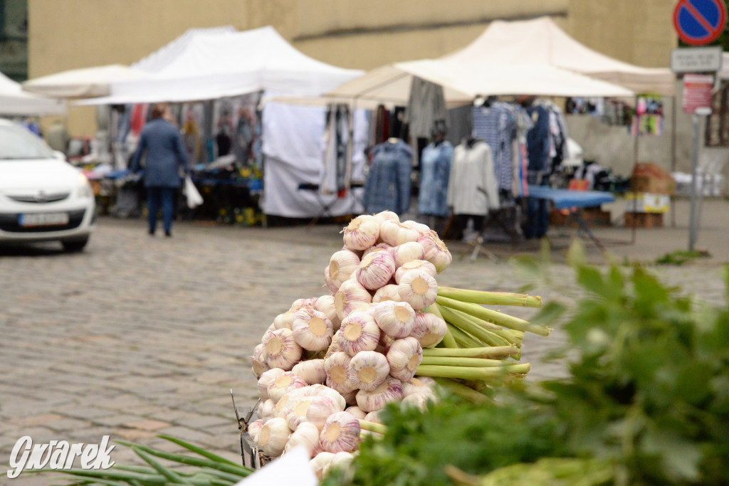 Targ w reżimie koronawirusa