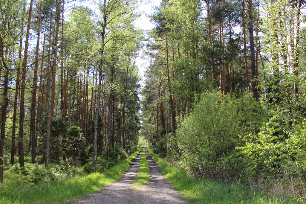 Pniowiec - zielony zakątek Tarnowskich Gór