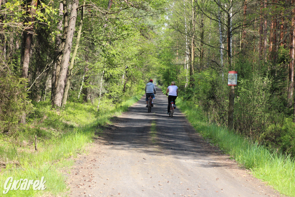 Pniowiec - zielony zakątek Tarnowskich Gór