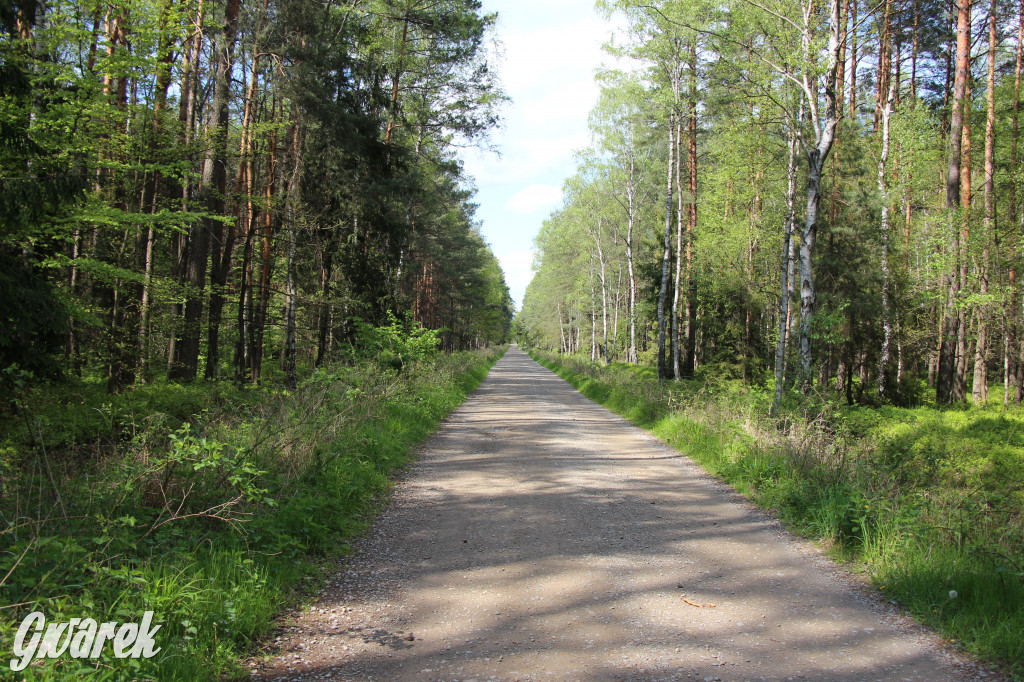 Pniowiec - zielony zakątek Tarnowskich Gór