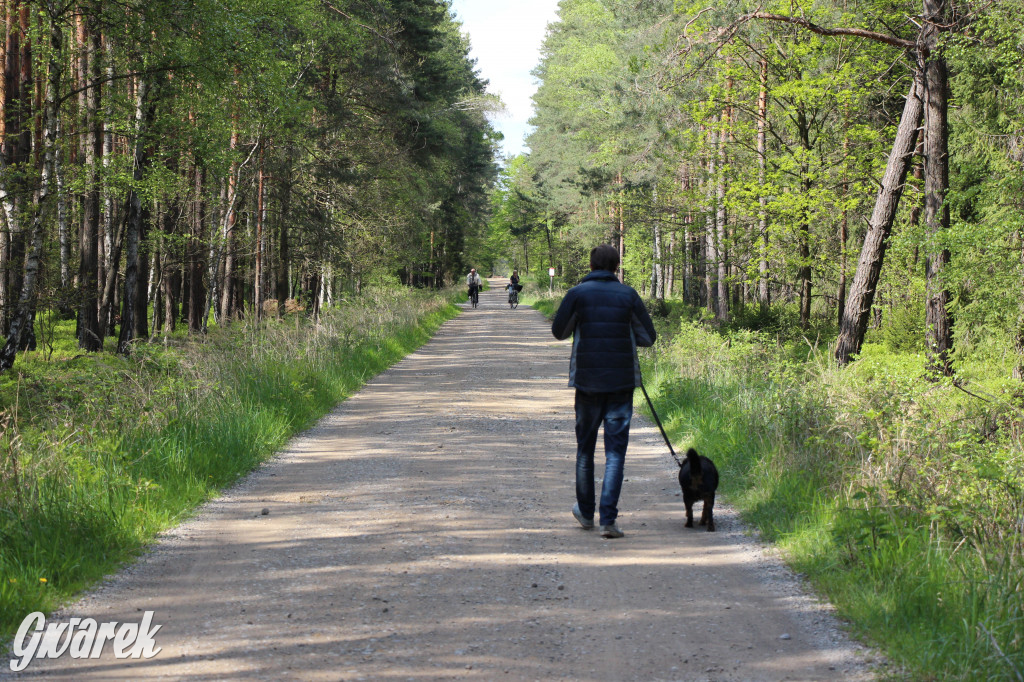 Pniowiec - zielony zakątek Tarnowskich Gór