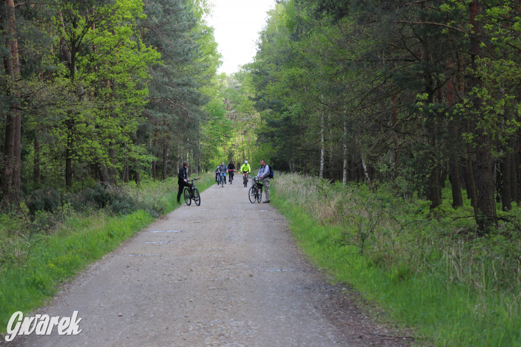 Pniowiec - zielony zakątek Tarnowskich Gór