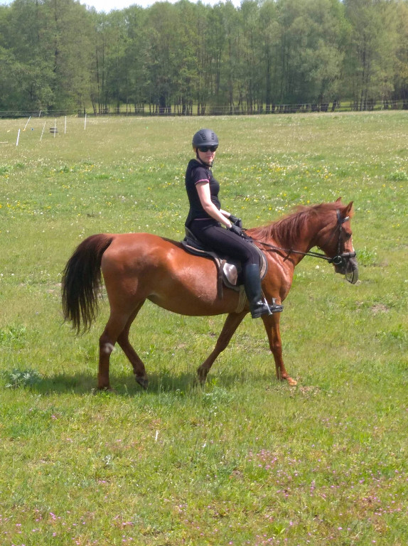 Aktywni dla bohaterów