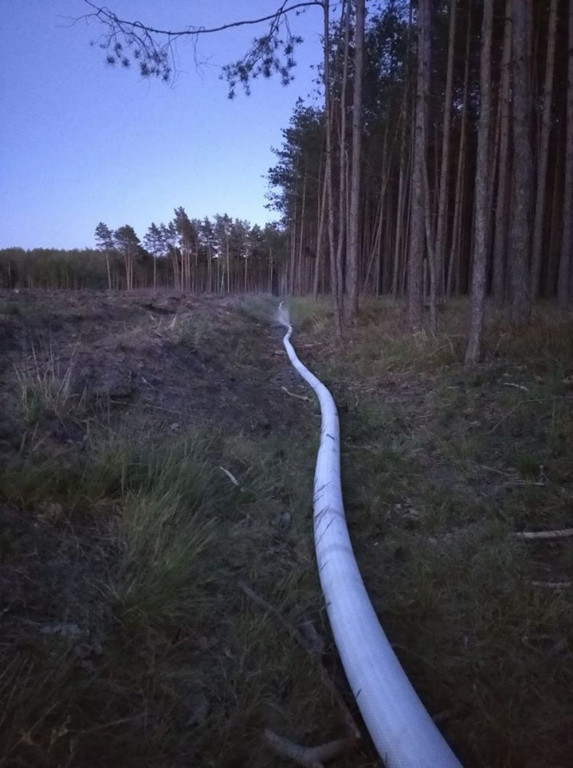 Płoną lasy. Podpalacze w akcji