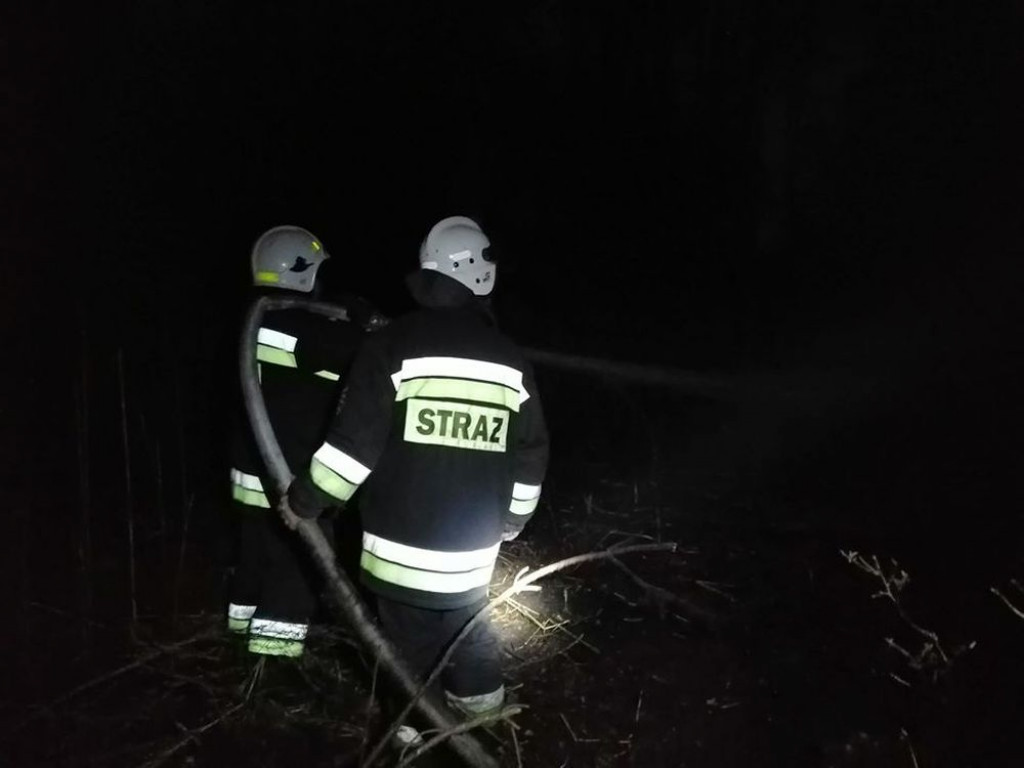 Płoną lasy. Podpalacze w akcji