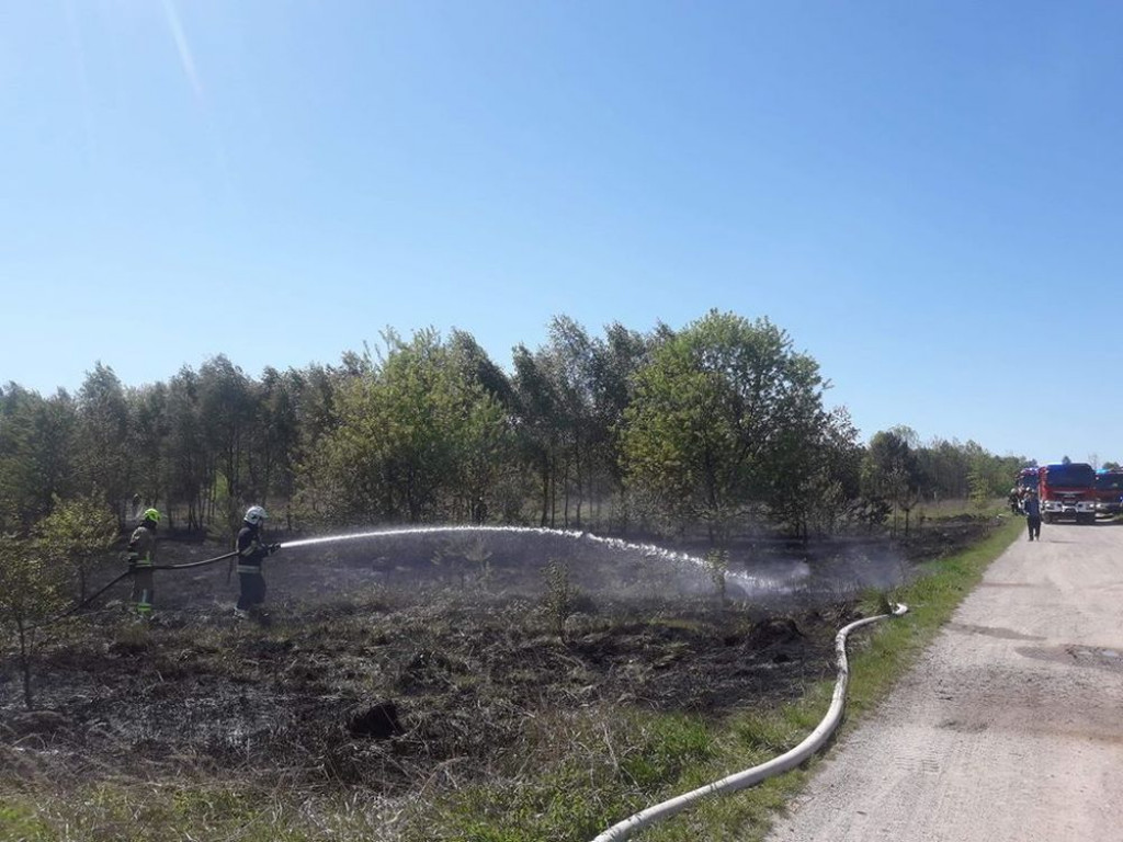 Płoną lasy. Podpalacze w akcji