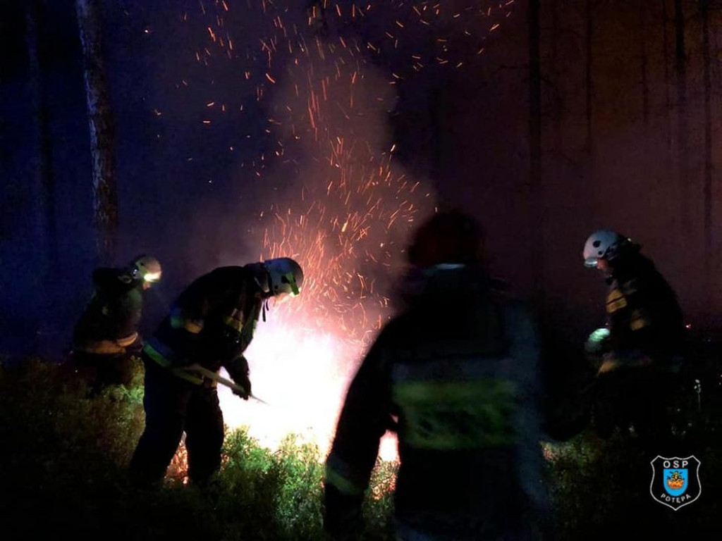 Płoną lasy. Podpalacze w akcji