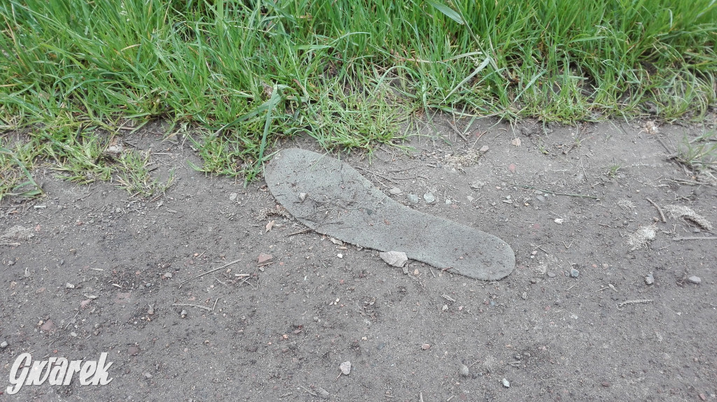 Spacer po parku Piny ze śmieciami w tle