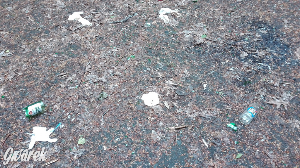 Spacer po parku Piny ze śmieciami w tle