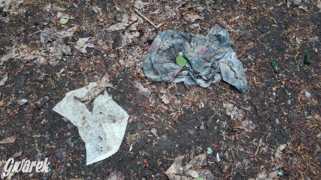 Spacer po parku Piny ze śmieciami w tle