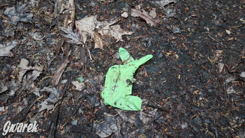 Spacer po parku Piny ze śmieciami w tle