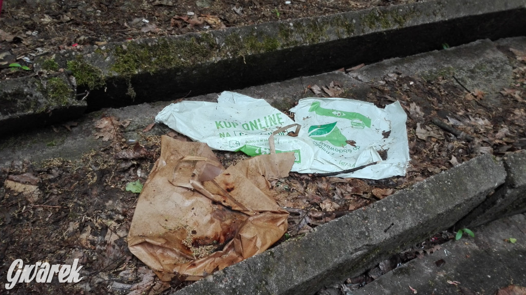 Spacer po parku Piny ze śmieciami w tle