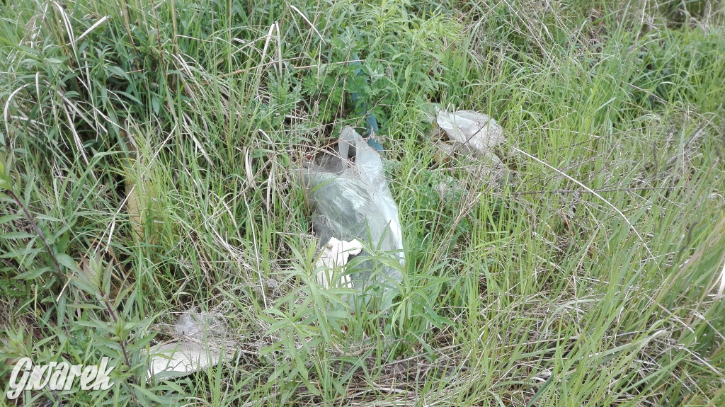 Spacer po parku Piny ze śmieciami w tle