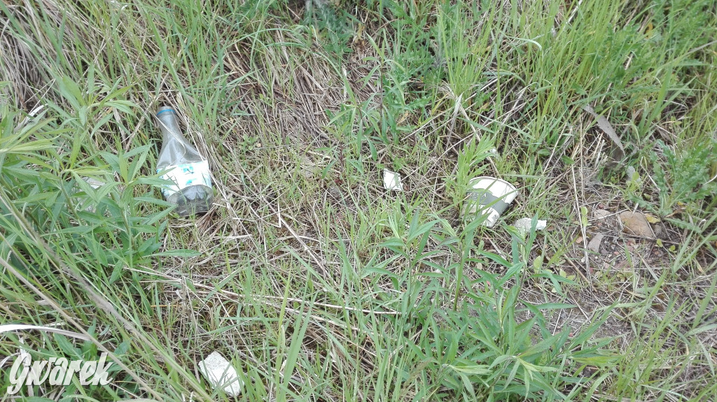 Spacer po parku Piny ze śmieciami w tle